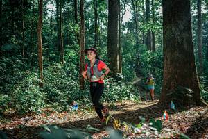 BIB: 
                            <button type="button" onclick="openModal(26129519)" class="btn btn-primary btn-sm float-right btn-popup" data-toggle="modal" data-target=".modal-high-quality">
                        <i class="fas fa-shopping-cart"></i> Add to Cart
                    </button>
                                            <button type="button" onclick="isThisMe(26129519, true)" class="btn btn-success btn-sm float-right btn-popup btn-isme hidden" data-toggle="tooltip" data-placement="bottom" title="นี่คือรูปของคุณใช่ไหม คลิกที่นี่เพื่อเอาเข้าอัลบั้ม">
                        <i class="fas fa-plus"></i> Add to album
                    </button>
                    <button type="button" onclick="isThisMe(26129519, false)" class="btn btn-warning btn-sm float-right btn-popup btn-isnotme hidden">
                        <i class="fas fa-ban"></i> Remove from album
                    </button>